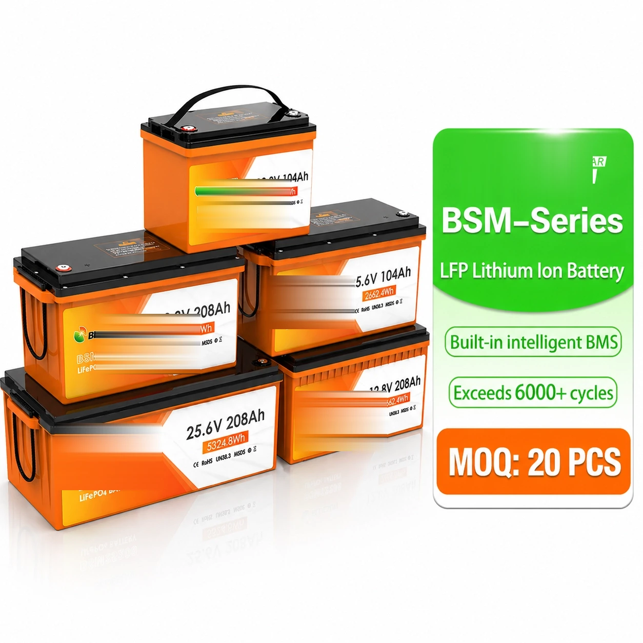 BSM-LFP-SERIES