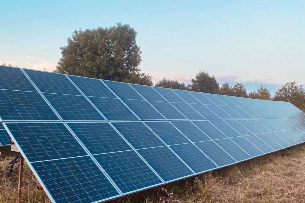 Solar panels in field